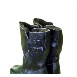 Сапоги Монгольские